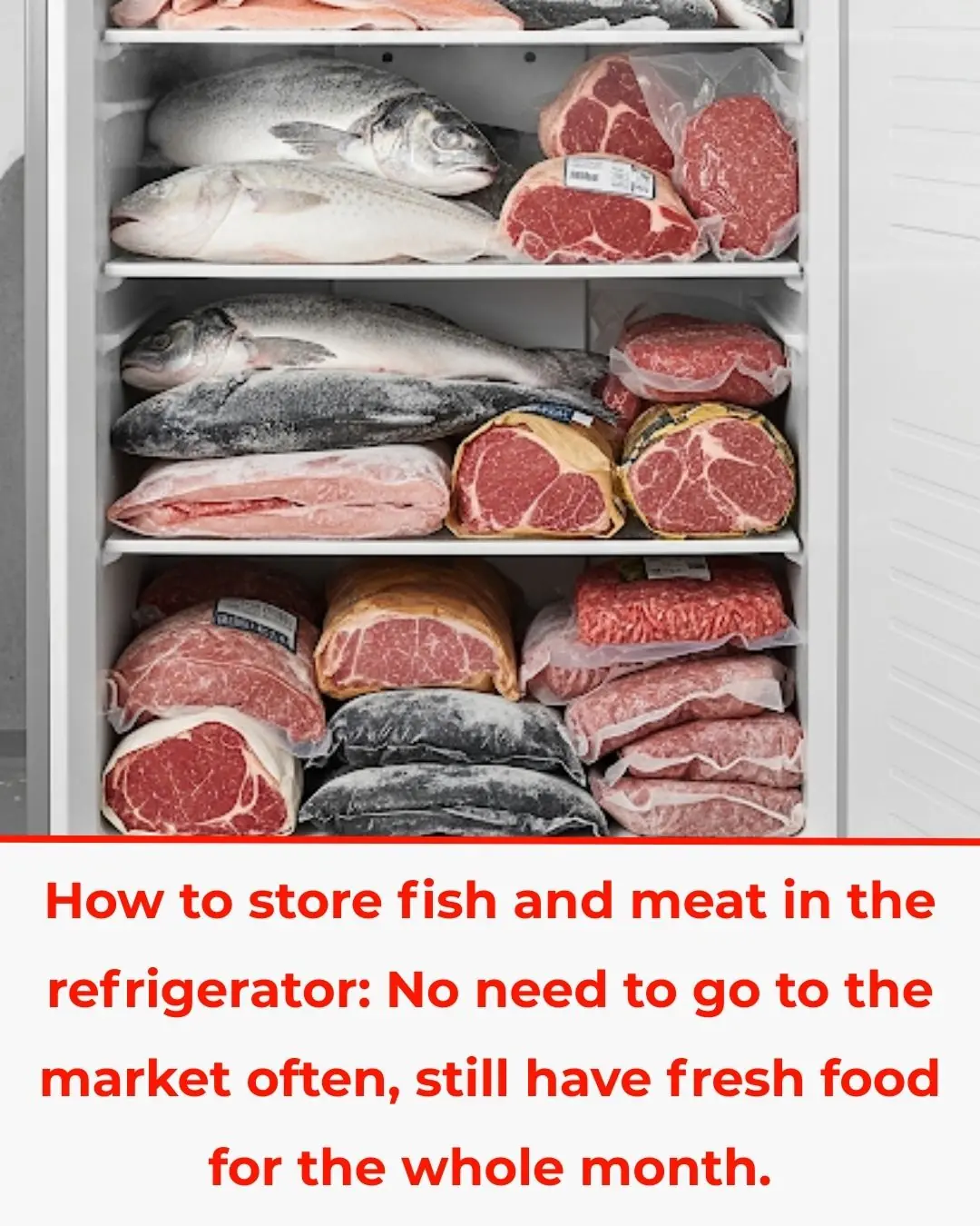 How to Store Fish and Meat in the Refrigerator: Shop Less, Keep Food Fresh All Month