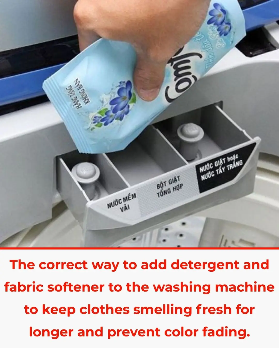 The Correct Way to Add Detergent and Fabric Softener to Your Washing Machine