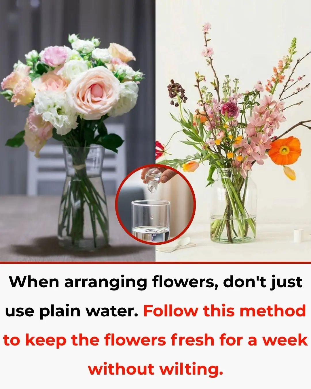 Don’t Use Plain Water for Flower Arrangements