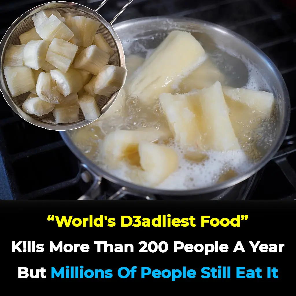 The World’s Deadliest Food Kills 200 People Every Year — Yet 500 Million Still Eat It