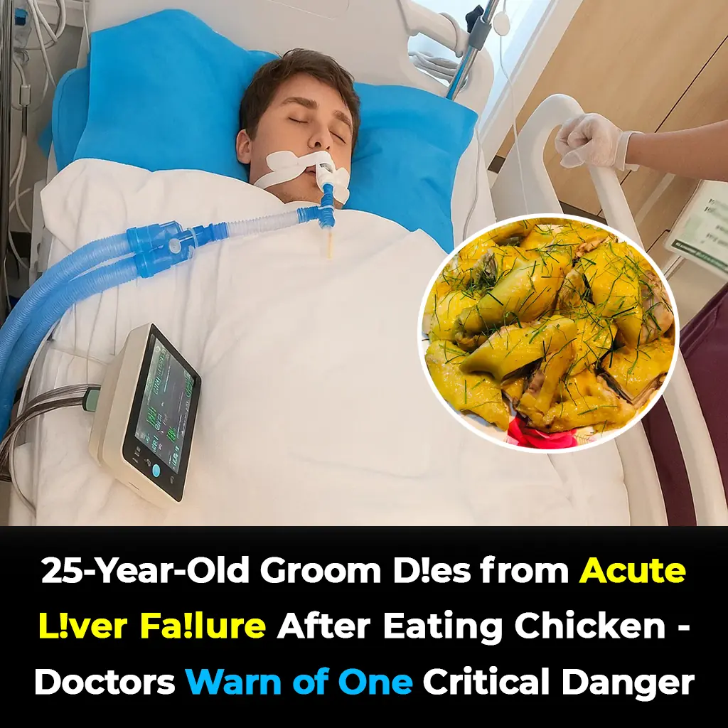 25-Year-Old Groom Dies from Acute Liver Failure After Eating Chicken – Doctors Warn of One Critical Danger!