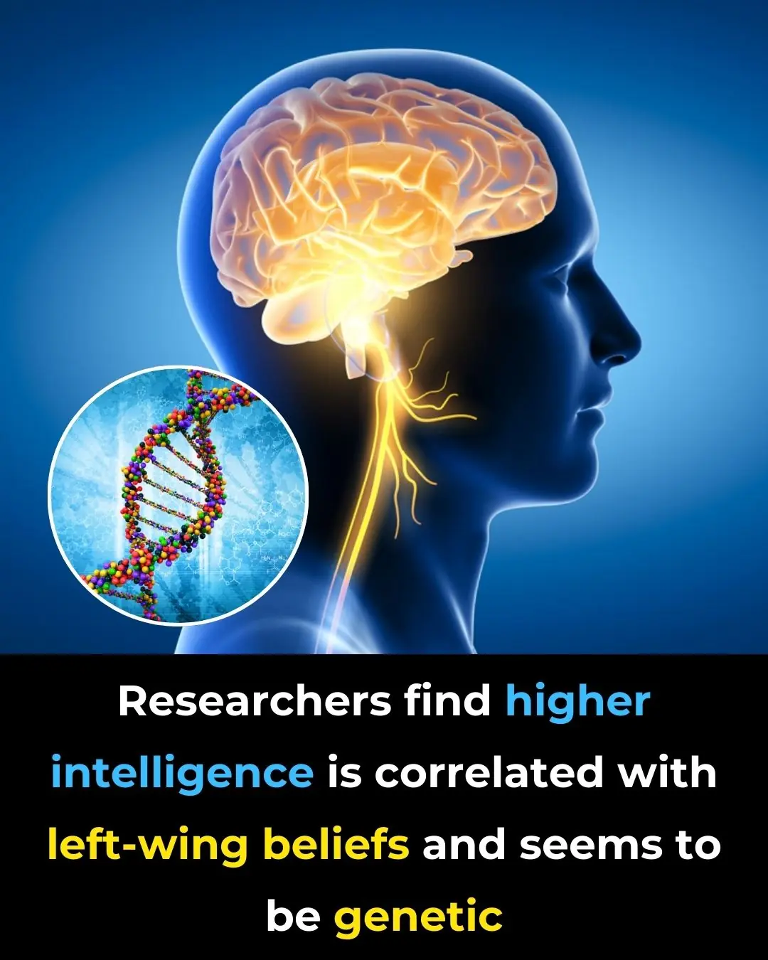 Researchers Find Higher Intelligence Is Correlated With Left-Wing Beliefs and Seems to Be Genetic