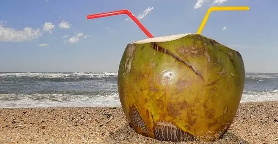 Coconut water: Is It Good for You, Nutrition, Benefits, Side Effects (Science Based)