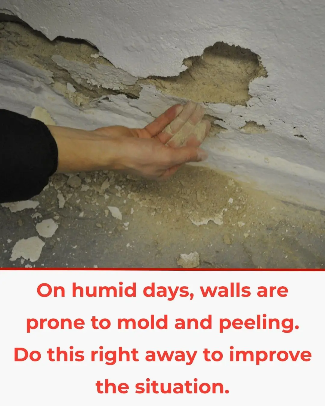 On Humid Days, Walls Are Prone to Mold and Peeling—Do This Right Away to Improve the Situation