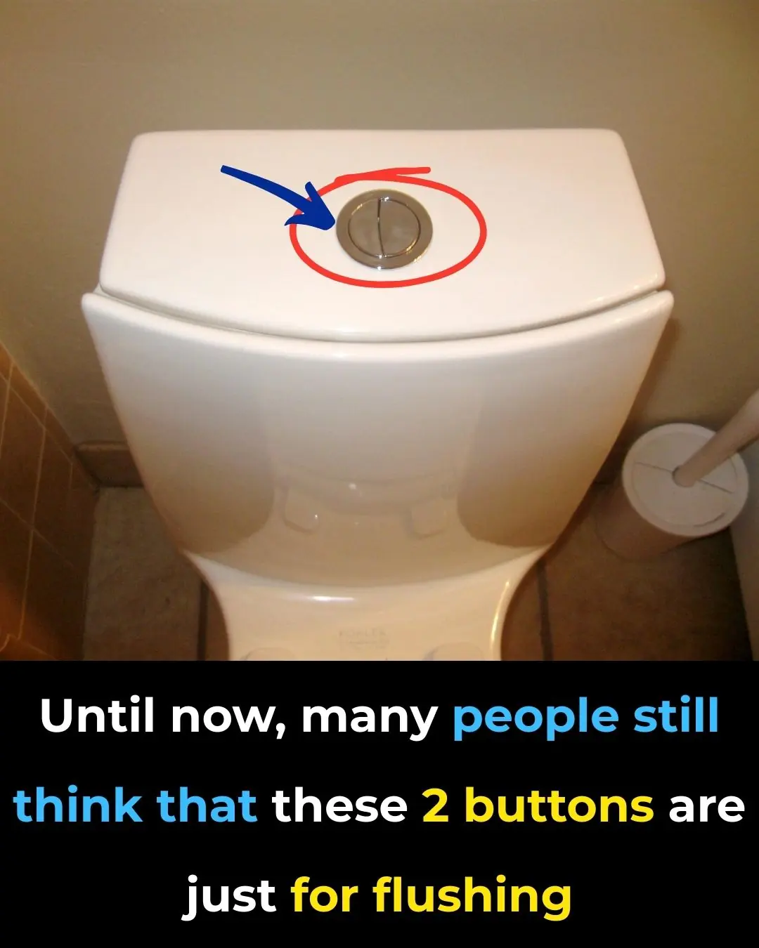 What’s the Purpose of Dual-Flush Toilet Buttons?
