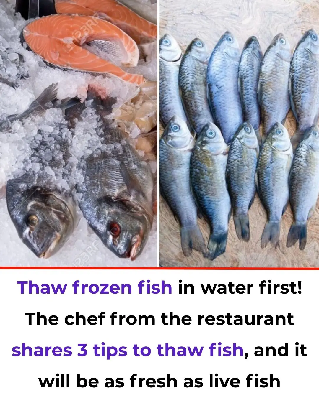 Thaw Frozen Fish in Water First! The Chef from the Restaurant Shares 3 Tips to Thaw Fish, and It Will Be as Fresh as Live Fish