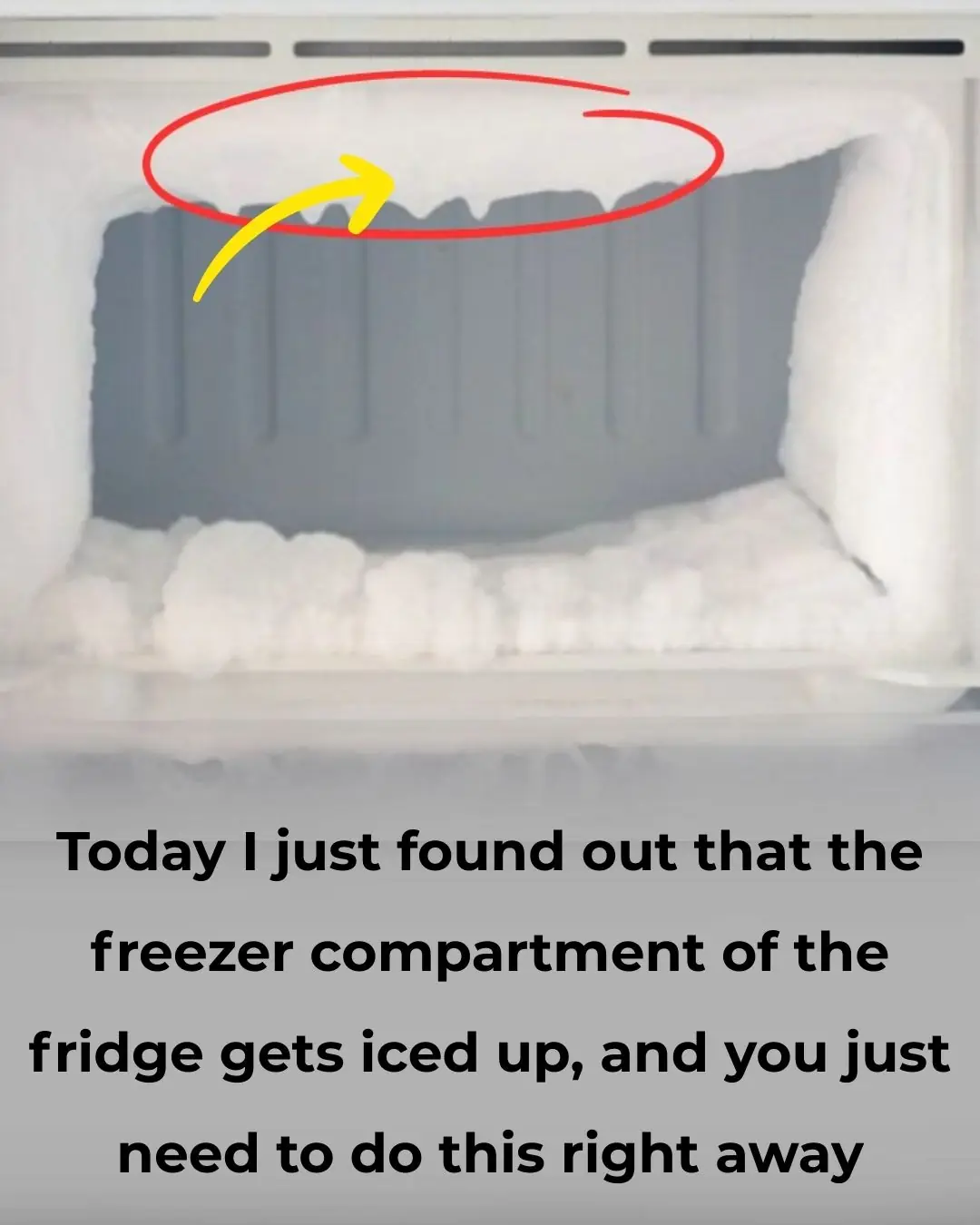 Today I Just Found Out That the Freezer Compartment of the Fridge Gets Iced Up, and You Just Need to Do This Right Away