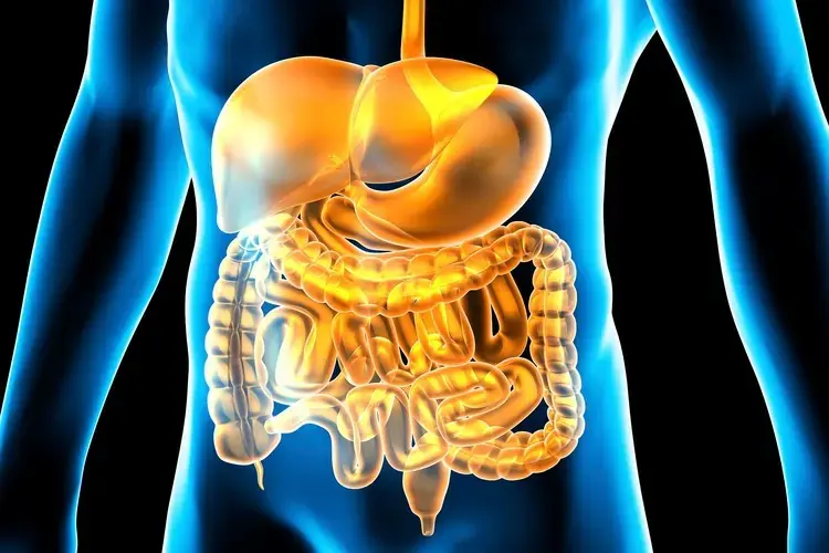 Use This Simple Method to Kill the Bacteria Causing Heartburn and Bloating Before It’s Too Late