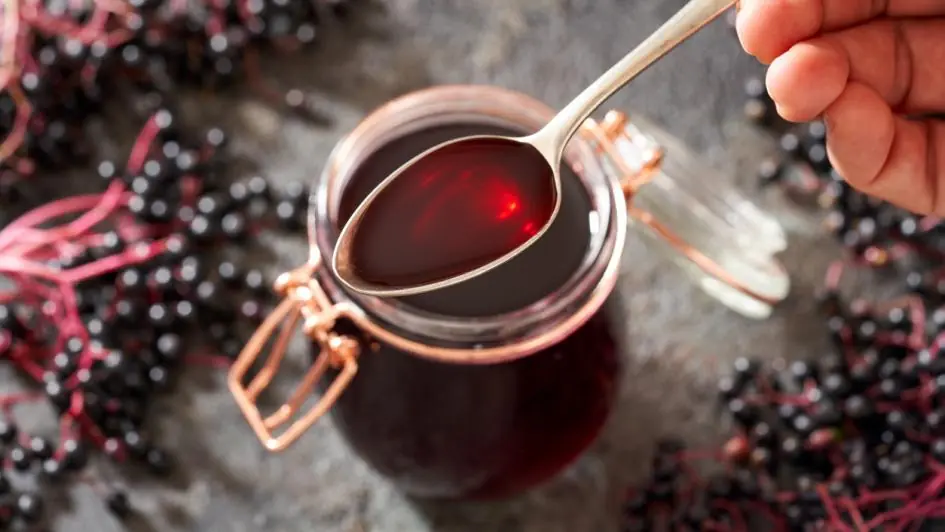 The Science-Backed Benefits of Elderberry (Plus an Easy Syrup Recipe)