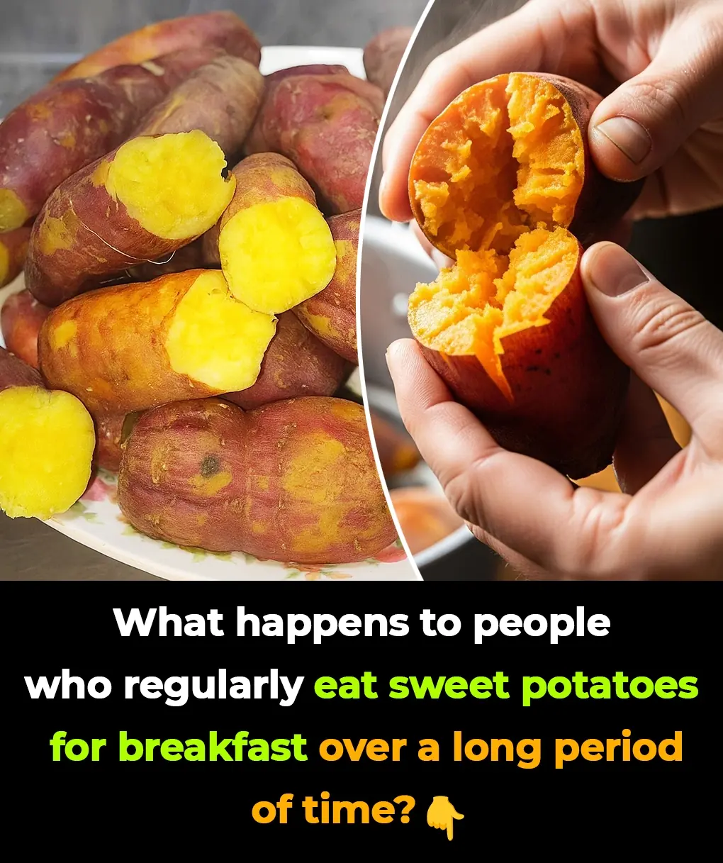 Eat Sweet Potatoes Daily and See These 7 Sh0cking Changes On Your Body