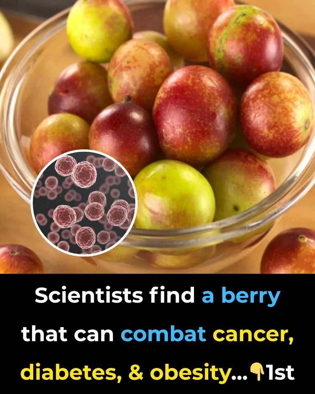Scientists find a berry that can combat cancer, diabetes, and obesity