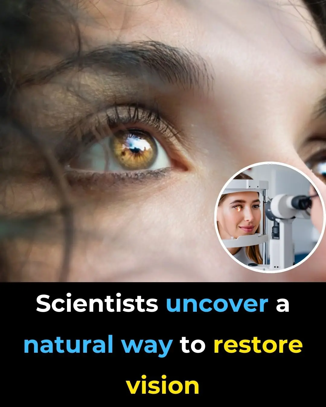 Scientists Uncover A Natural Way to Restore Vision