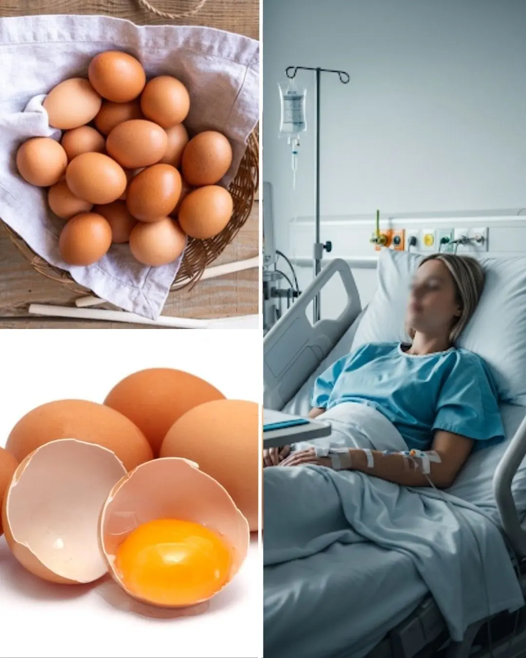 If You Eat Eggs Every Day