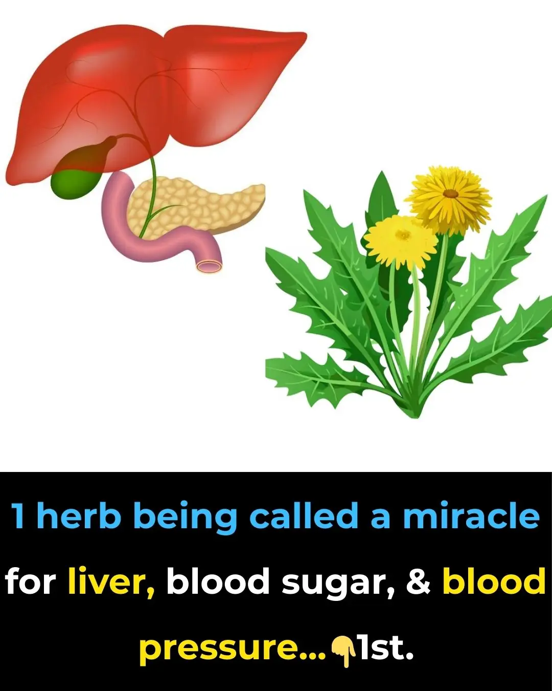 1 herb being called a miracle for liver, blood sugar, and blood pressure