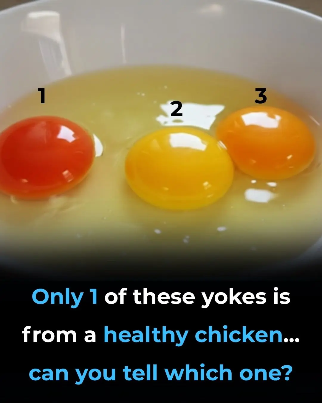 Tips for Selecting High-Quality Eggs