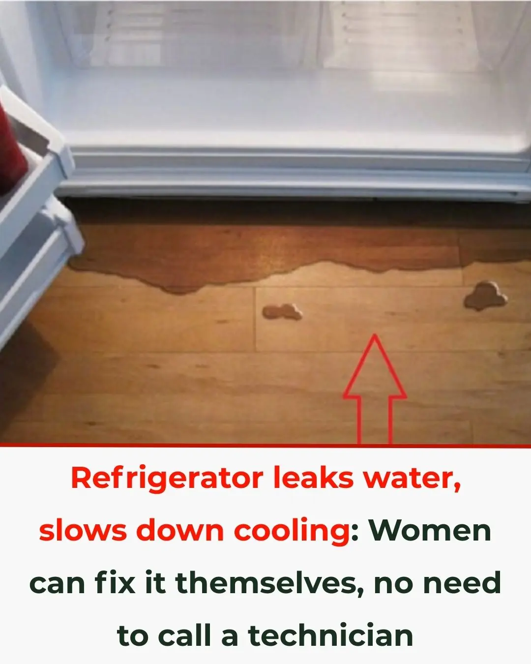 How to Handle Common Refrigerator Problems and a Surprising Lesson from American Toilet Habits