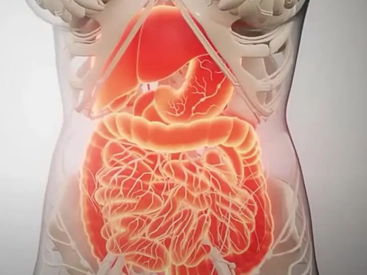 Colon Cleansing: How to Naturally Flush Your Colon at Home (Science-Based)