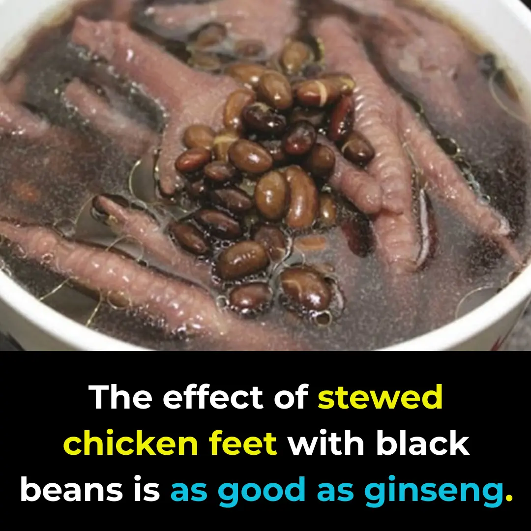 The Benefits of Chicken Feet Stewed with Black Beans – As Powerful as Ginseng