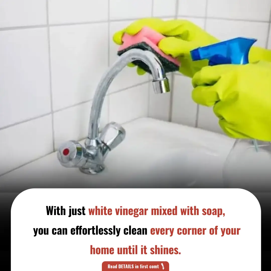 With Just White Vinegar Mixed with Soap, You Can Effortlessly Clean Every Corner of Your Home