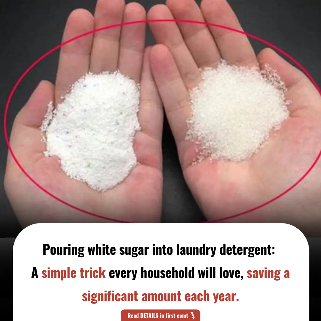Pouring White Sugar into Laundry Detergent: A Simple Trick Every Household Will Love, Saving a Significant Amount Each Year