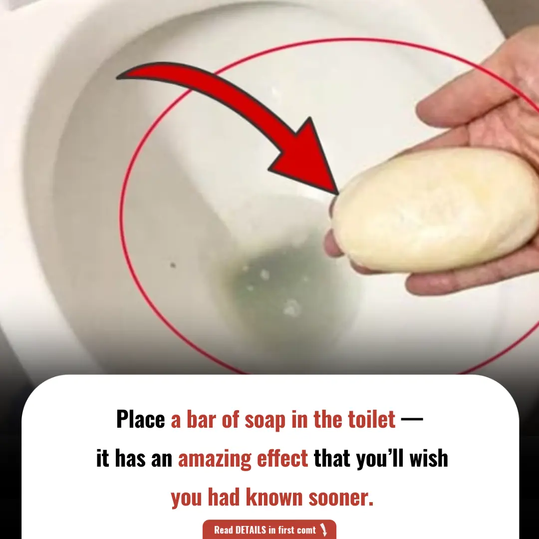 Place a Bar of Soap in the Toilet — It Has an Amazing Effect That You’ll Wish You Had Known Sooner
