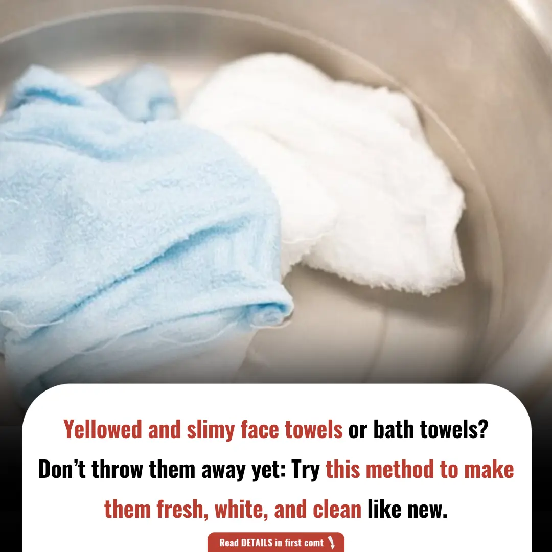 Yellowed and Slimy Face Towels or Bath Towels? Don’t Throw Them Away Yet: Try This Method to Make Them Fresh, White, and Clean Like New
