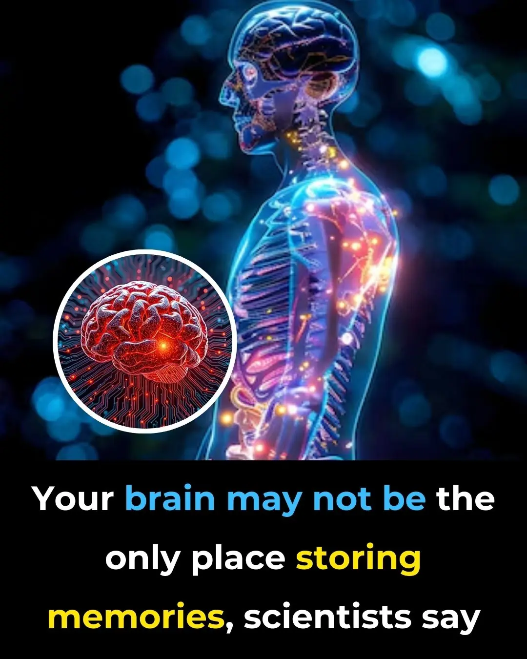 Your Brain May Not Be the Only Place Storing Memories, Scientists Say