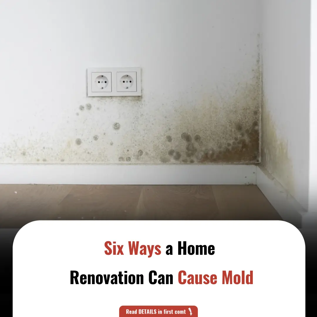 Six Ways a Home Renovation Can Cause Mold