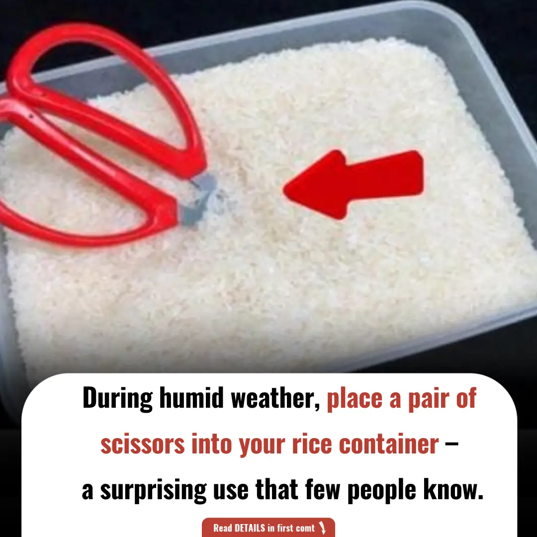 During Humid Weather, Place a Pair of Scissors into Your Rice Container – A Surprising Use That Few People Know