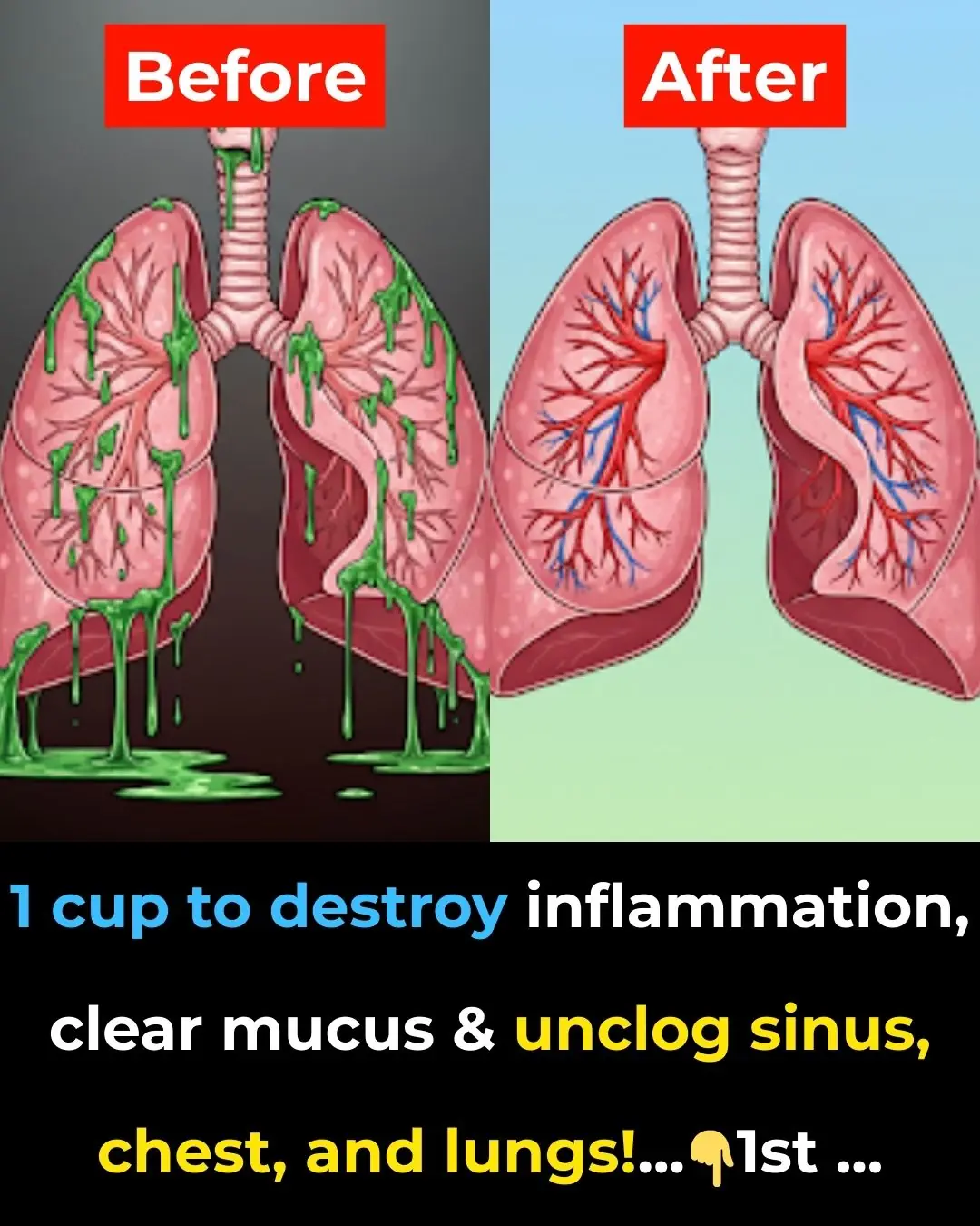 1 cup to destroy inflammation, clear mucus & unclog sinus, chest, and lungs!