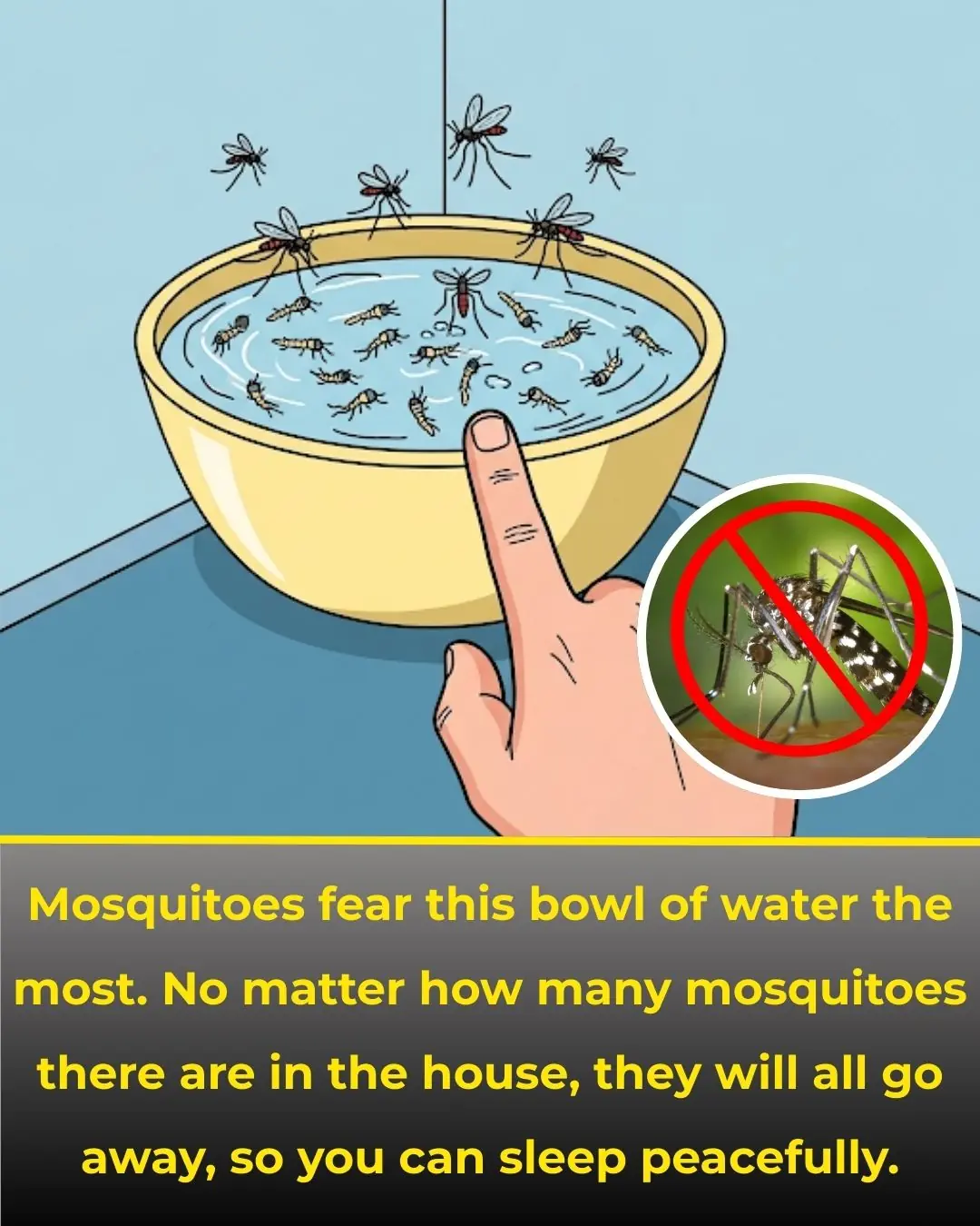 Mosquitoes Fear This Simple Bowl of Water — Place It in Your Home, and Even the Most Persistent Mosquitoes Will Leave, Letting You Sleep Peacefully