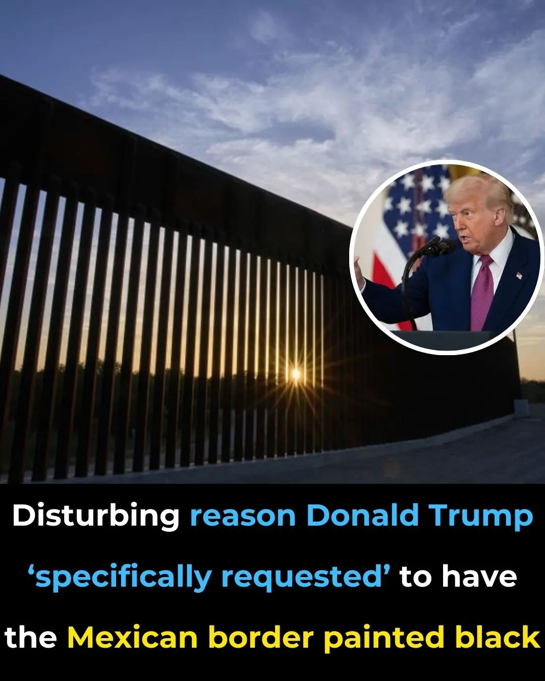 Disturbing Reason Donald Trump ‘Specifically Requested’ to Have the Mexican Border Painted Black