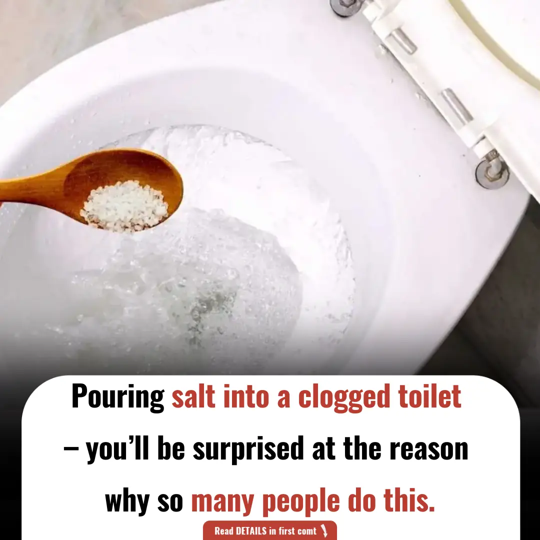 Pouring Salt into a Clogged Toilet – You’ll Be Surprised at the Reason Why So Many People Do This