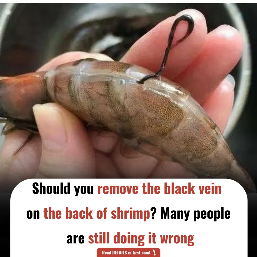 Should You Remove the Black Vein on the Back of Shrimp? Many People Are Still Doing It Wrong