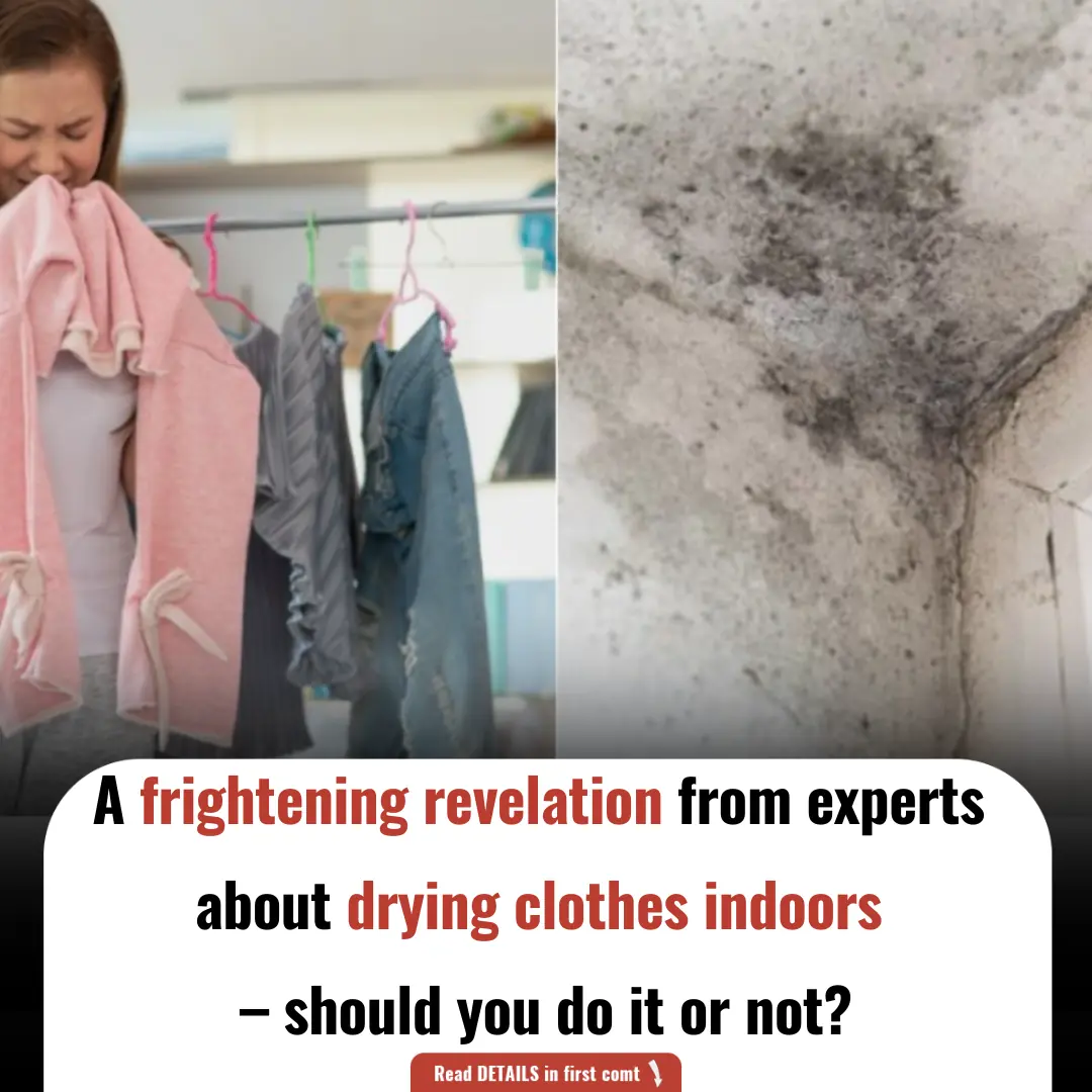 A Frightening Revelation from Experts About Drying Clothes Indoors – Should You Do It or Not?
