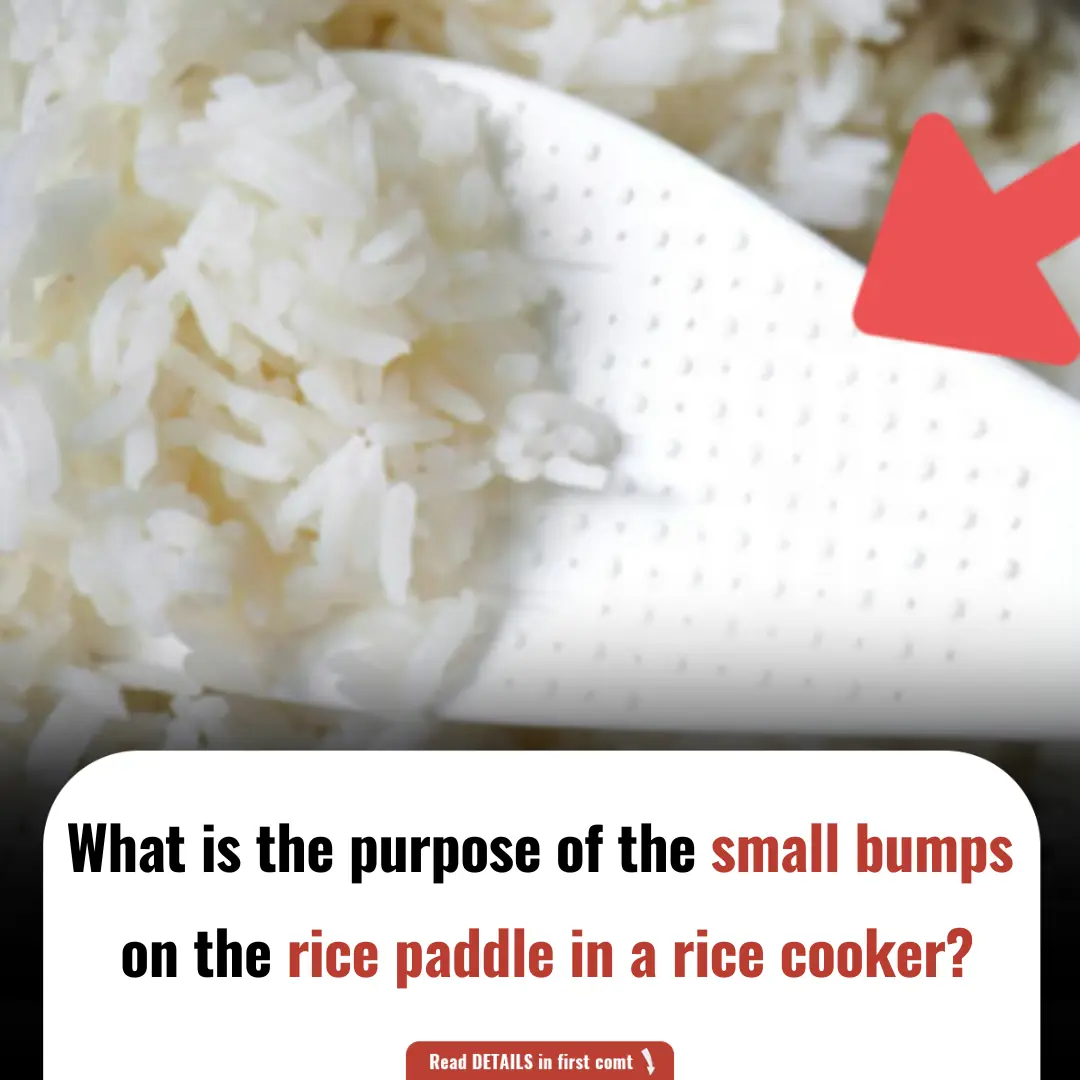 What Is the Purpose of the Small Bumps on the Rice Paddle in a Rice Cooker?
