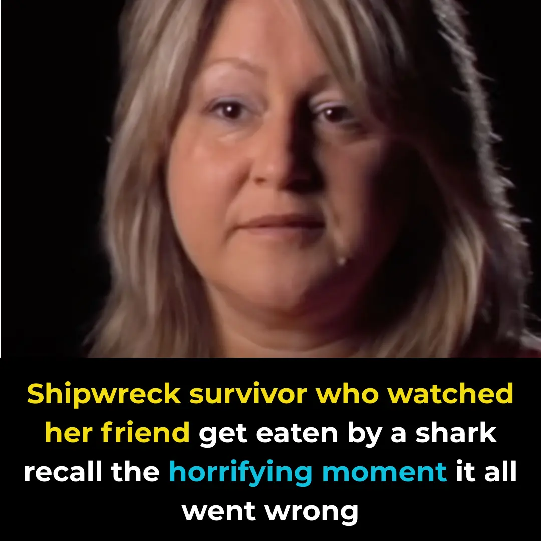 Shipwreck survivor who watched her friend get 3at3n by a shark recall the horrifying moment it all went wrong