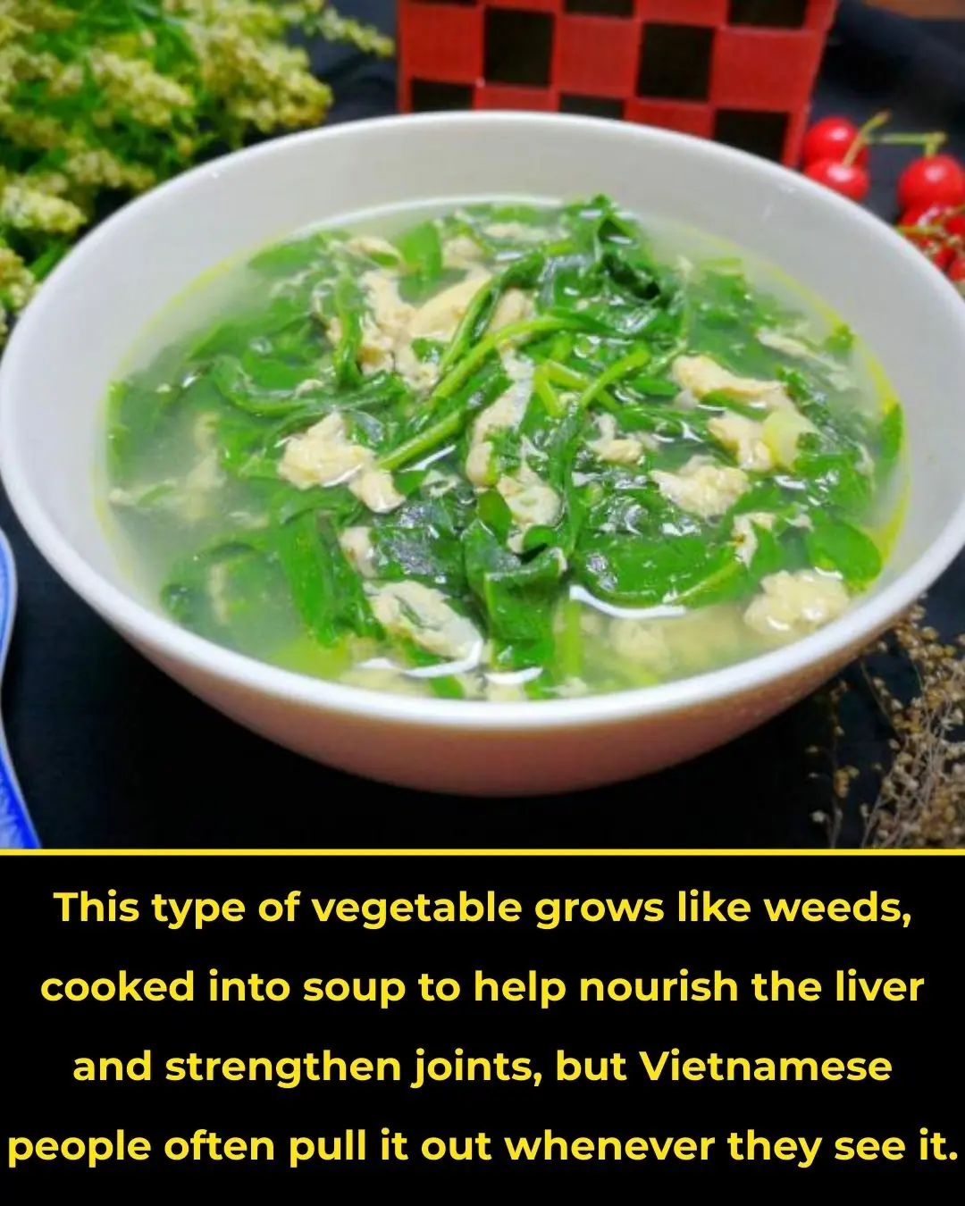 A Wild Herb That Grows Like Weeds, Used in Soups to Nourish the Liver and Strengthen Joints, Yet Most Vietnamese People Always Pull It Out When They See It