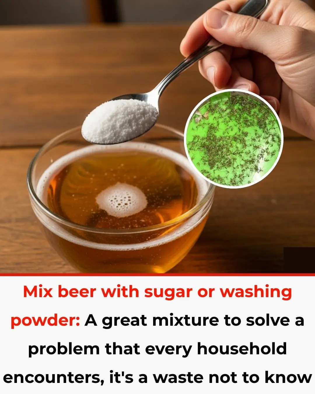 Mixing Beer with Sugar or Detergent: A Brilliant Solution to a Common Household Problem You Shouldn’t Miss
