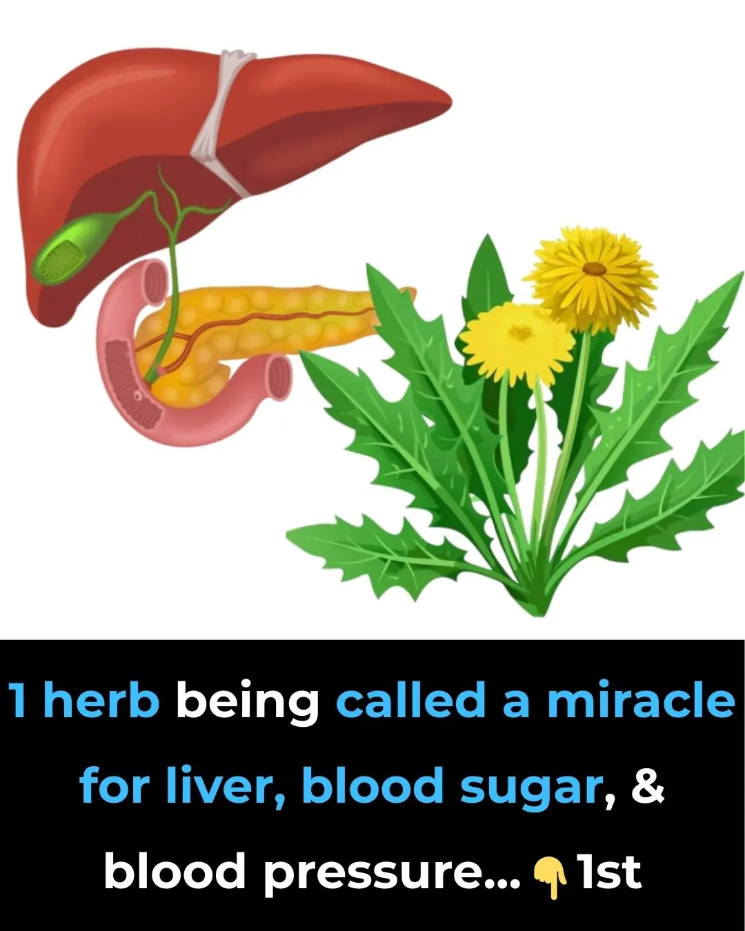 1 herb being called a miracle for liver, blood sugar, and blood pressure