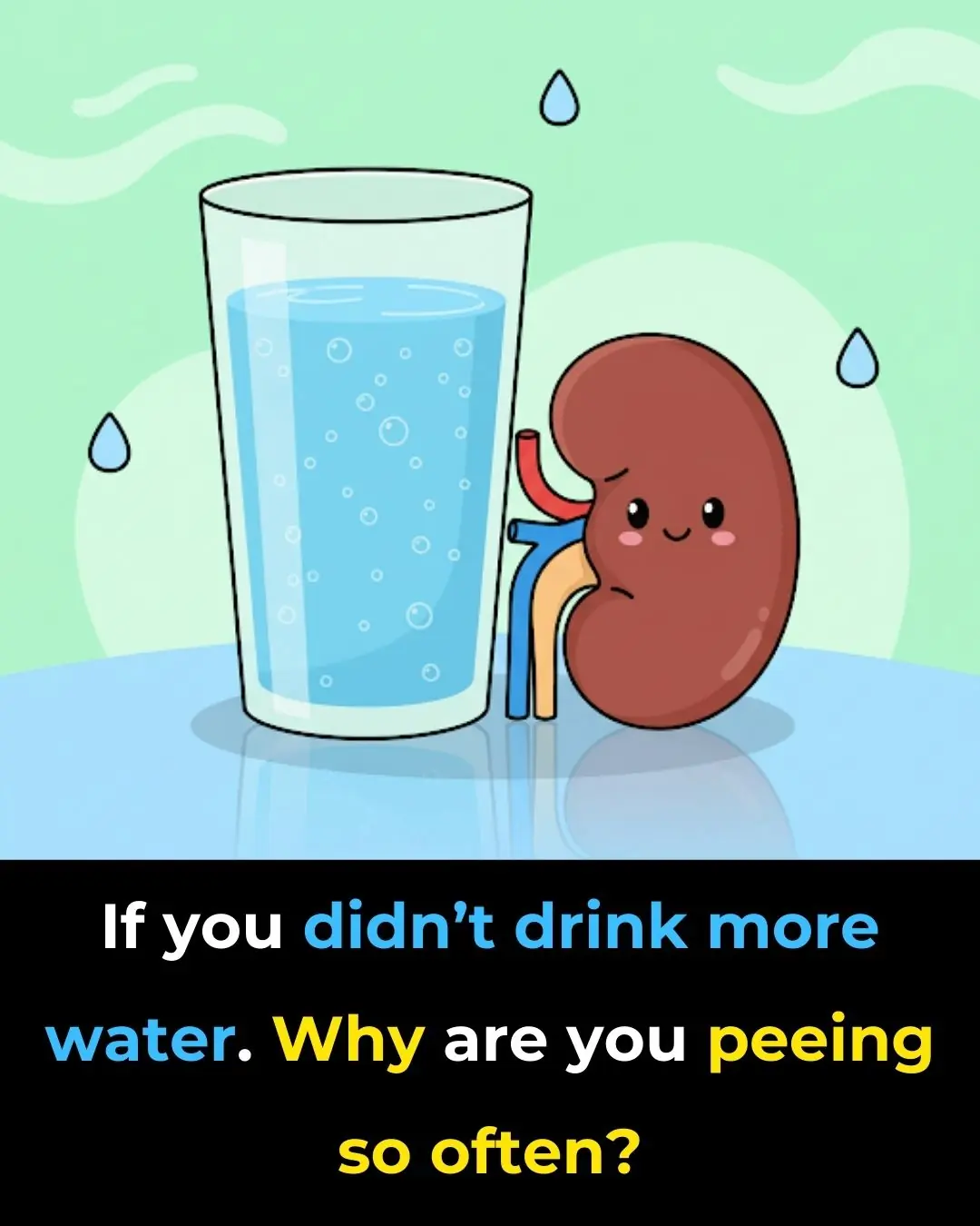 If you didn’t drink more water, why are you peeing so often?