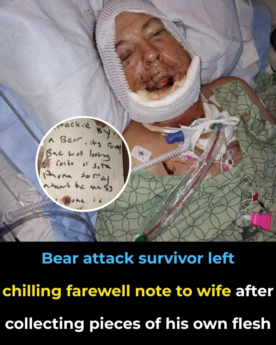 Bear Attack Survivor’s Haunting Farewell Note to Wife After Gathering Pieces of His Own Flesh