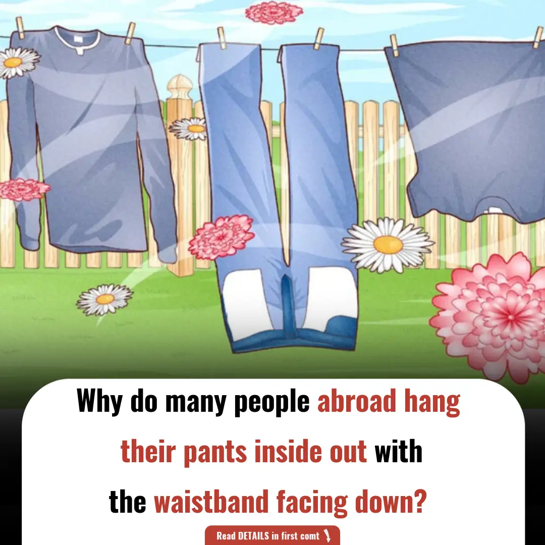 Why Do Many People Abroad Hang Their Pants Inside Out with the Waistband Facing Down?