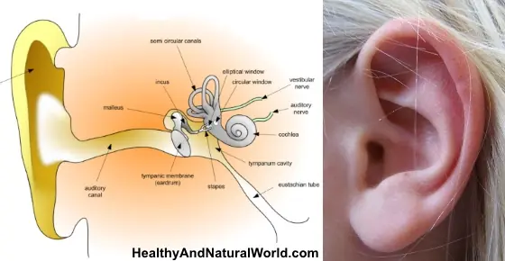 The Most Effective Ways to Naturally Get Rid of Clogged Ears