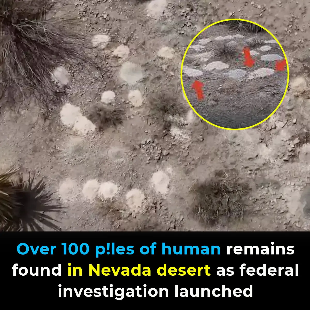 Over 100 piles of human remains found in Nevada desert as federal investigation launched