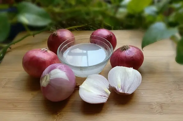 How to use Onion juice & Onion Hair Oil for Hair Growth – Onion Benefits for Hair