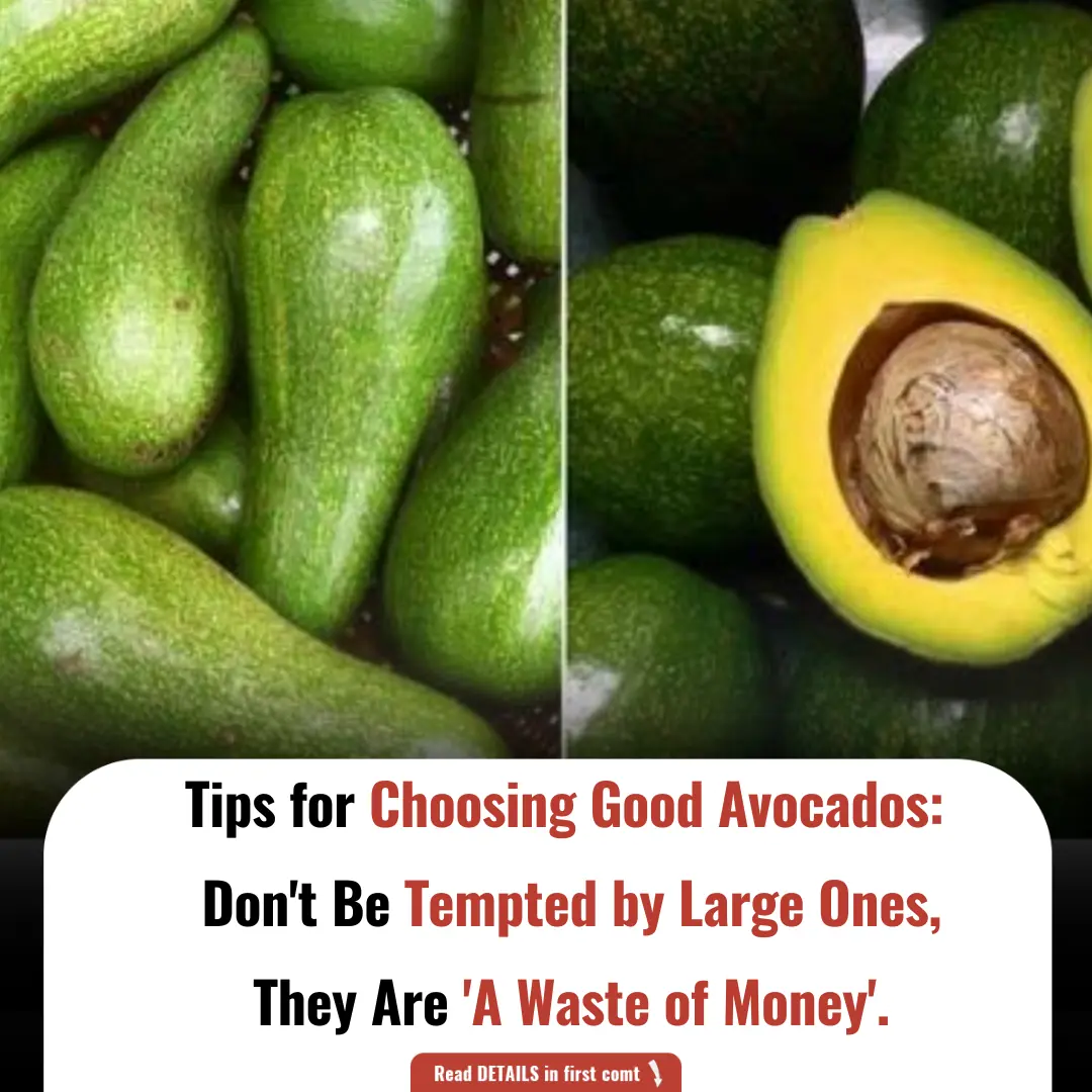Tips for Choosing Good Avocados: Don't Be Tempted by Large Ones, They Are 'A Waste of Money'.