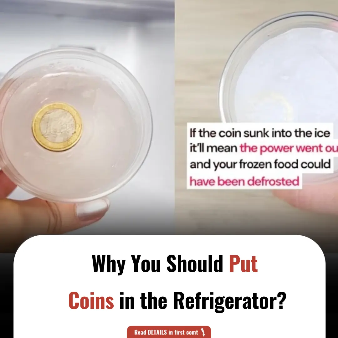 Why You Should Put Coins in the Refrigerator?