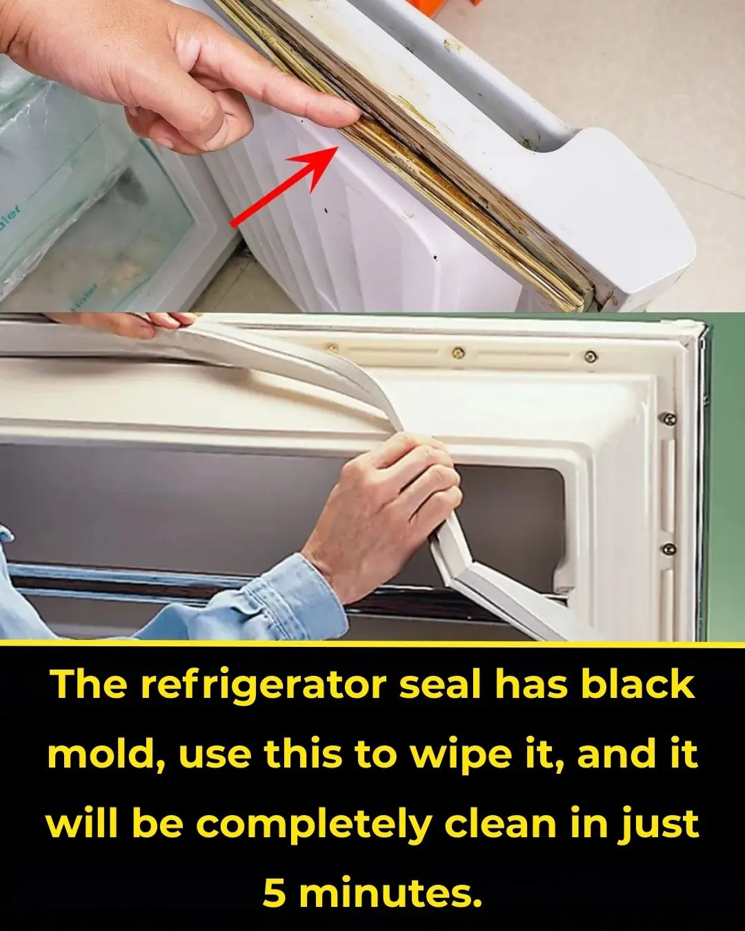 The refrigerator seal has black mold, use this to wipe it, and it will be completely clean in just 5 minutes.