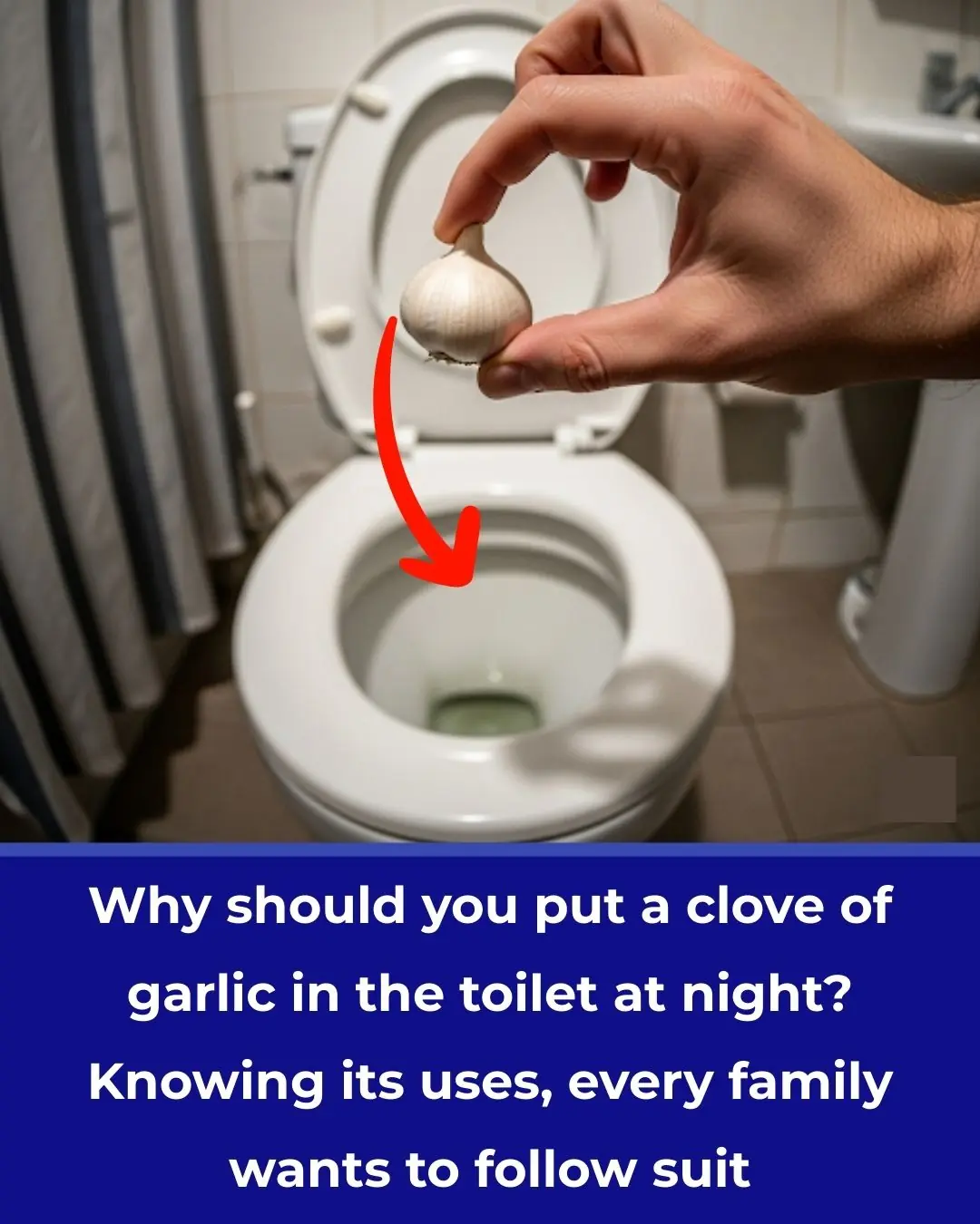 Why Should You Drop a Clove of Garlic into the Toilet Bowl at Night? Knowing Its Benefits, Every Household Wants to Try It